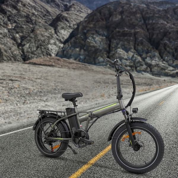 Baolujie DZ2031 Elcykel 48V 13ah 750W 70km 20 tums aluminiumhjul 20" grå