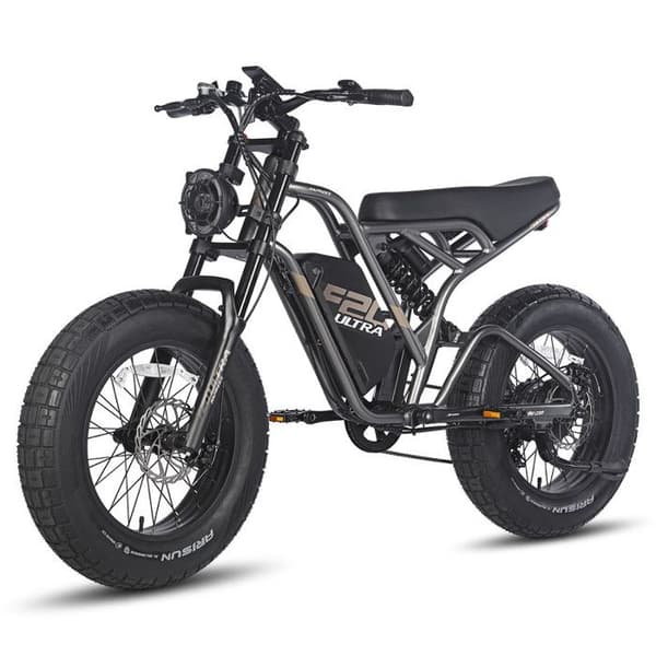 Fafrees F20 Ultra Elcykel - Ram M - SHIMANO 7S - Aluminiumhjul 20 - svart - 750 W