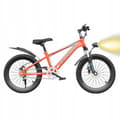 Miniatyrbillede 10 af 11: BØRNECYKEL 20 TOMMES SKIVE SIDEHJUL STØDDÆMPER GIFTER