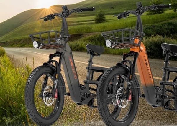 Laddning - LANKELEISI Wombat-1 elcyklar Motor 1000W Batteri 48V20AH 46km/h 70km Shimano 7 växlar 20"*3.0 Svart Grå