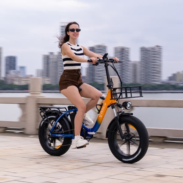 Ridstar MN20 20'' genomstegande elcykel, 1000W motor, 15AH/20AH batteri, 7 hastigheter, 20''*4.0'' integrerat hjul i magnesiumlegering