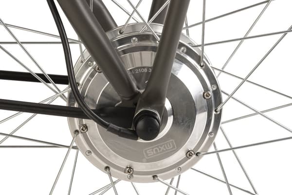 E-City Bike Herrecykel 28'' Carry On E-Bike Grå 3 gear 250W 36V/13 Ah 191E