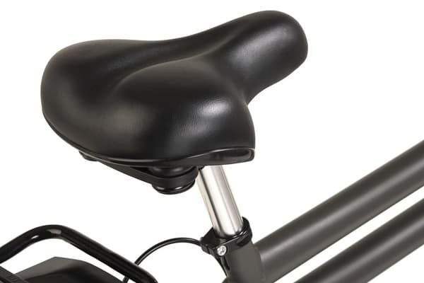 E-City Bike Herrecykel 28'' Carry On E-Bike Grå 3 gear 250W 36V/13 Ah 191E
