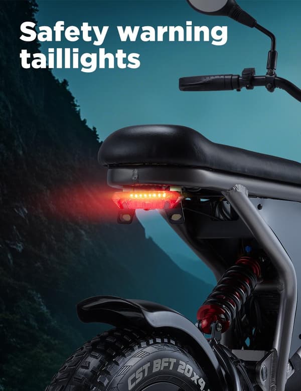 RANDRIDE DM711 20" elcykel med dubbla motorer, 48V 20Ah batteri, 7-växlad Shimano växlar, 4,0" feta däck terrängelcykel