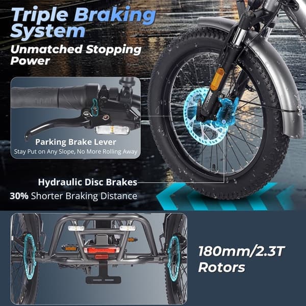 Fafrees F20 Mate elektrisk last trehjulet cykel, 750W motor, 21AH batteri, hydraulisk bremse, 20''*3,0'' dæk