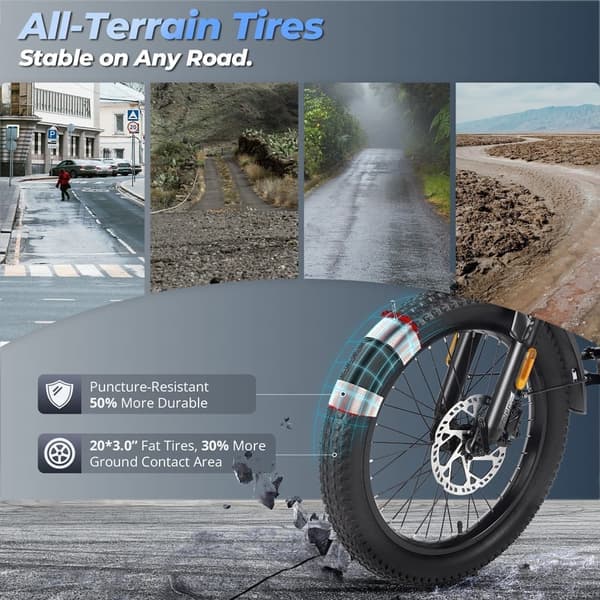 Fafrees F20 Mate elektrisk last trehjulet cykel, 750W motor, 21AH batteri, hydraulisk bremse, 20''*3,0'' dæk