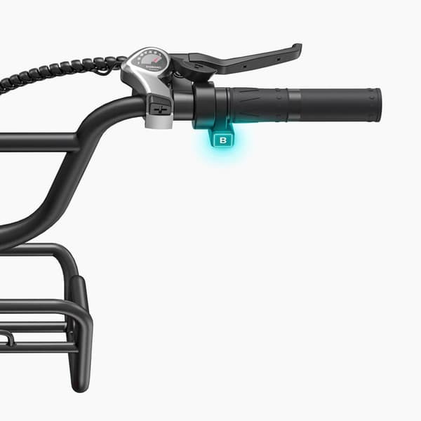 ENGWE L20 Boost Step-Thru E-cykel, 250W motor, 13AH batteri, 20 x 4.0 dæk, Shimano 7 gear,Sort
