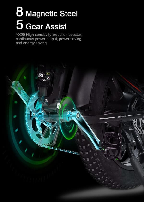 Randride YX20M 1000W kompakt fedtdæk e-cykel