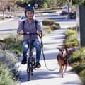 Pikkukuva 9 / 10: DYU C3 taitettava Ebike-sähköpyörä