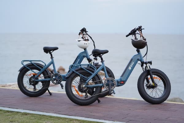 DYU FF500 500W Elcykel med feta däck, 70 km räckvidd, 20×4.0 terrängdäck, avtagbart 13,5 Ah batteri för äventyr och pendling