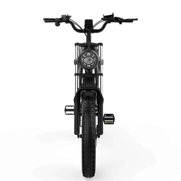 Elcykel Ridstar Q20 48V 1000W 20AH 7 växlar