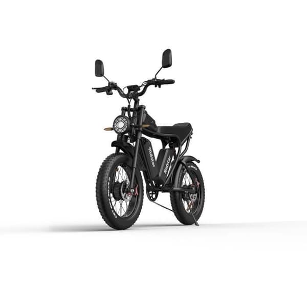 Ridstar Q20 Elcykel - Dubbelmotorer 750W*2 Dubbelbatterier 48V20Ah*2 20" Däck Hydrauliska skivbromsar - Svart