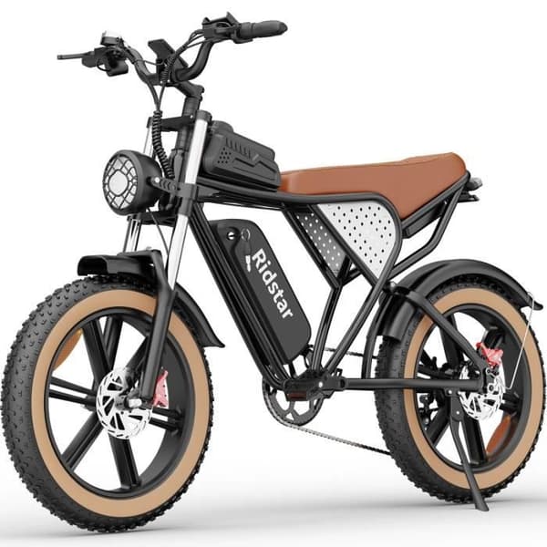 Ridstar Q20 IT Elcykel - Motor 750W Batteri 48V20AH Däck 20 Tum Hydrauliska Bromsar - Svart Brun