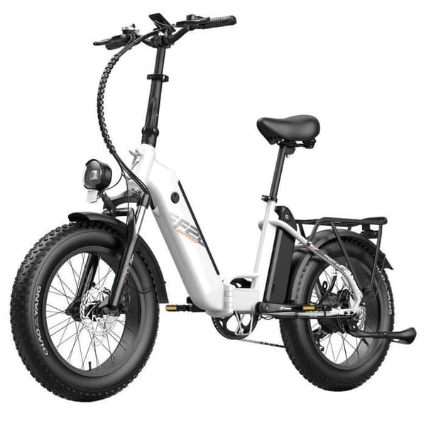 Elcykel FAFREES FF20 Polar 48V 500W Motor 25km/h Max Hastighet Dubbel 10.4Ah Batterier 20*4.0 ''Däck