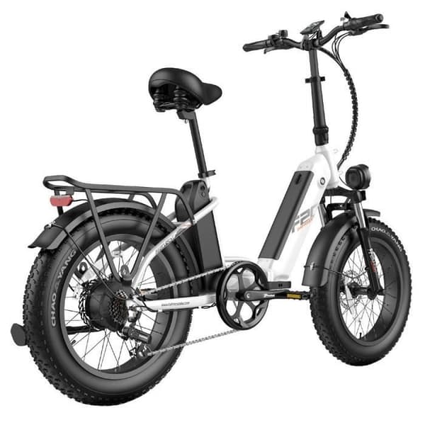Elcykel FAFREES FF20 Polar 48V 500W Motor 25km/h Max Hastighet Dubbel 10.4Ah Batterier 20*4.0 ''Däck