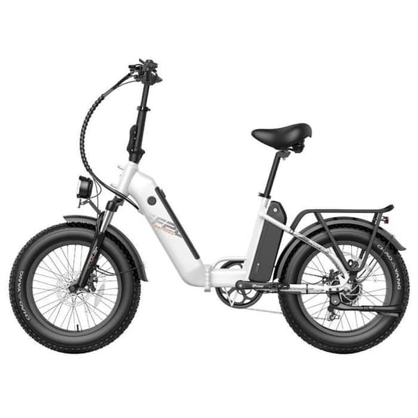 Elcykel FAFREES FF20 Polar 48V 500W Motor 25km/h Max Hastighet Dubbel 10.4Ah Batterier 20*4.0 ''Däck