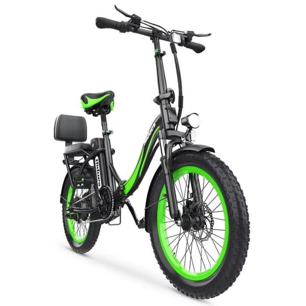 Hidoes HD-C1 Elcykel - Motor 750W Batteri 48V13AH Däck 20 Tum Skivbromsar - Grön