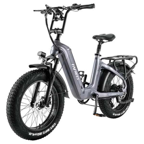 Växelcykel FAFREES F20 Master E-bike 20*4.0 Tum Pneumatiskt Däck 500W Bakdrift 25km/h Max Hastighet 48V 22.5Ah Batteri