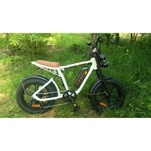 ENGWE M20 - Elektrisk Cykel - Hjul 20" - Motor 750W - Batteri 48V 13Ah - Skivbromsar - Vit