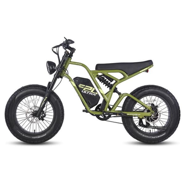 Fafrees F20 Ultra Elcykel - Ram M - SHIMANO 7S - Aluminiumhjul 20 - svart och grön - 750 W