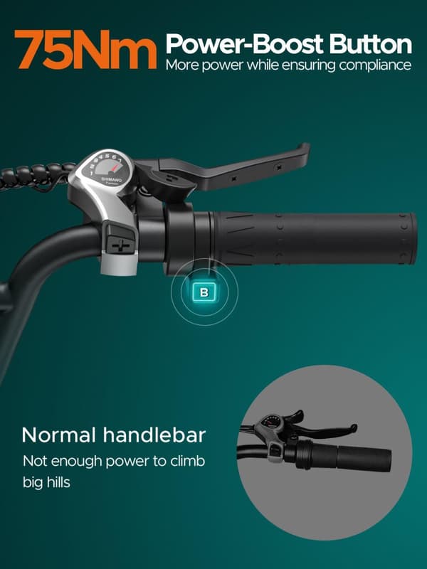 ENGWE L20 Boost e-cykel, 250W motor, 75Nm drejningsmoment, 48V13Ah batteri, 20×4.0" dæk, 126 km rækkevidde, fremragende til både byture og eventyr