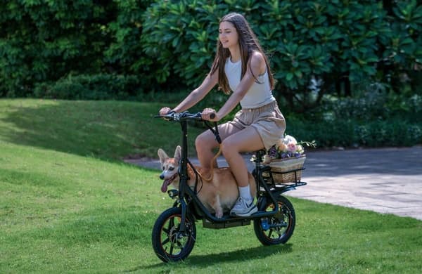 DYU C4 Elscooter 14 tums pneumatiska däck 250W borstlös motor 25 km/h maxhastighet 36V 10Ah Scooter 42 km räckvidd Elscooter