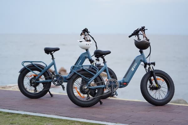 DYU FF500 Elcykel 48V 13,5Ah Batteri 500W Motor Stadscykling Dam 20*4,0 Elcykel med feta däck