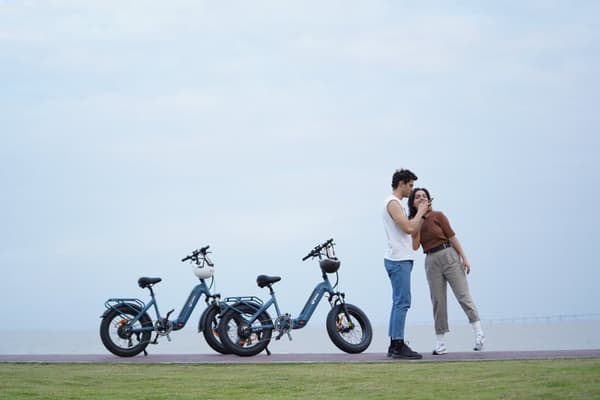 DYU FF500 Elcykel 48V 13,5Ah Batteri 500W Motor Stadscykling Dam 20*4,0 Elcykel med feta däck