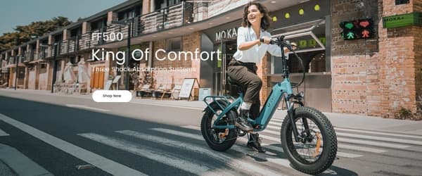 DYU FF500 Elcykel 48V 13.5Ah Batteri 500W Motor 20-tums Däck 70 km Körsträcka Skivbroms Elcykel Lämplig för vuxna och tonåringar