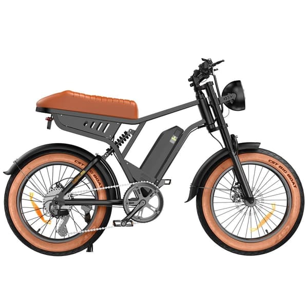 Elcykel iSinwheel R6 - 20" Fat Tires - 250W 48V 13Ah - Brun