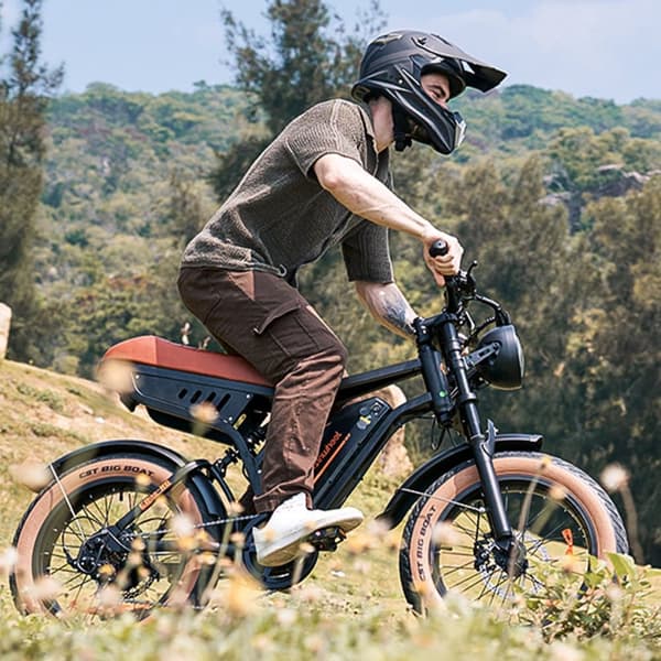 Elcykel iSinwheel R6 - 20" Fat Tires - 250W 48V 13Ah - Brun