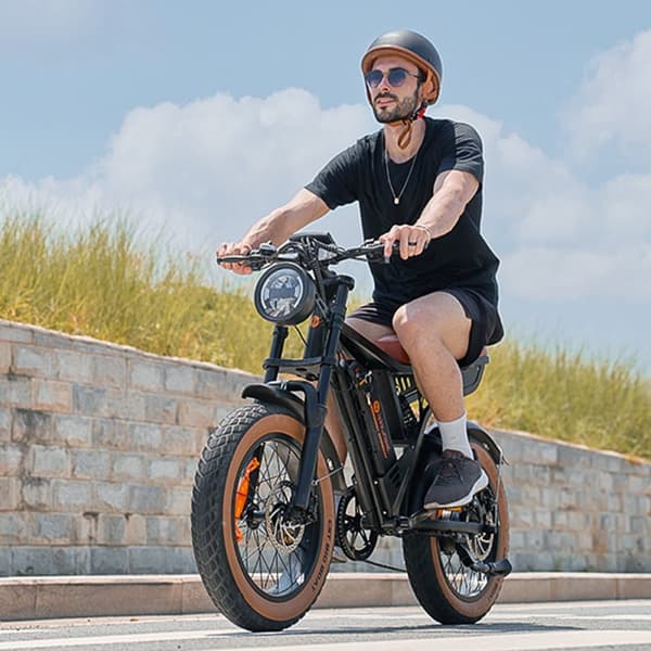 Elcykel iSinwheel R6 - 20" Fat Tires - 250W 48V 13Ah - Brun