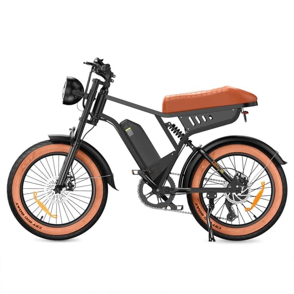 Elcykel iSinwheel R6 - 20" Fat Tires - 250W 48V 13Ah - Brun