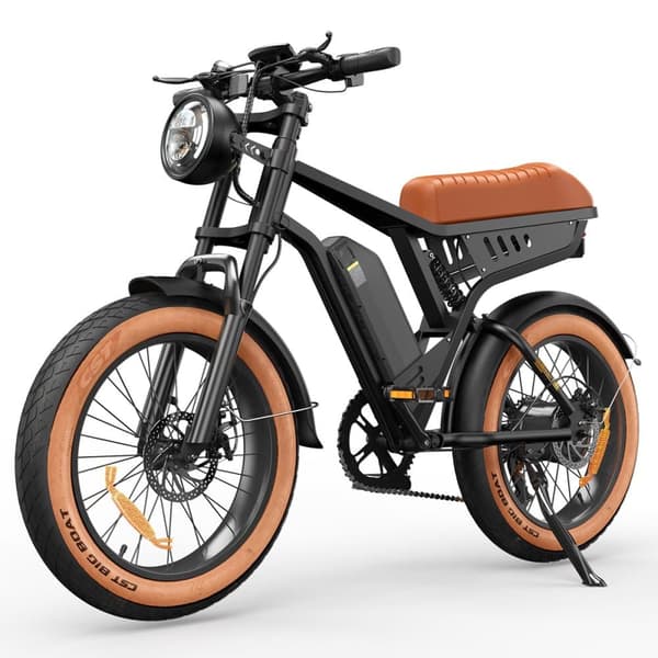 Elcykel iSinwheel R6 - 20" Fat Tires - 250W 48V 13Ah - Brun