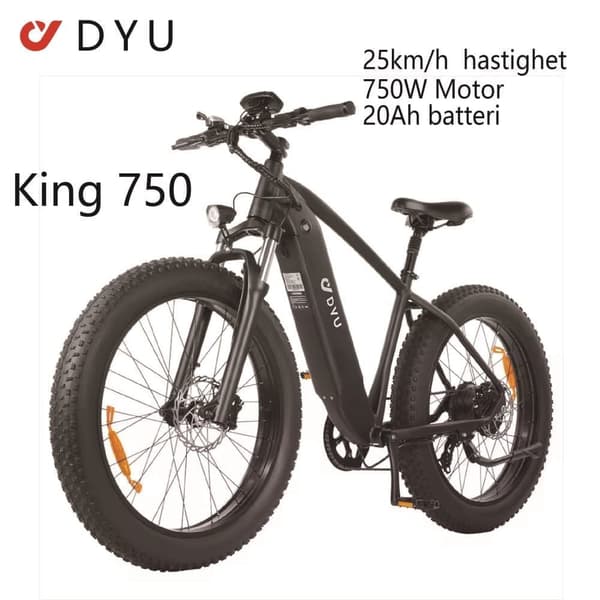 DYU King 750 Elcykel 750W Borstlös Motor 48V18AH Litiumbatteri 26-tums Däck Dubbla Skivbromsar 110 km Räckvidd Elcykel för Vuxna