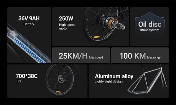 DYU Stroll 1 Elcykel 250W Borstlös Motor 36V 9AH Batteri 700*38C Däck Dubbla Hydrauliska Skivbromsar Vuxen Elcykel--svart