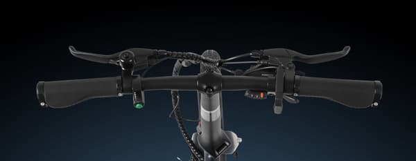 DYU T1 Elcykel 36V10AH Batteri 20-tums Däck 250W Borstlös Motor Dubbla Skivbromsar Elcykel för Vuxna