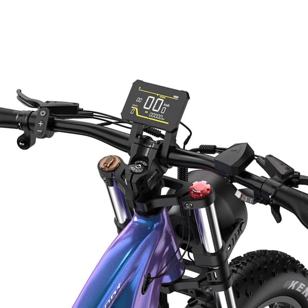 Elcykel DUOTTS E26, 750W 48V 20Ah, kompatibel med momentsensor