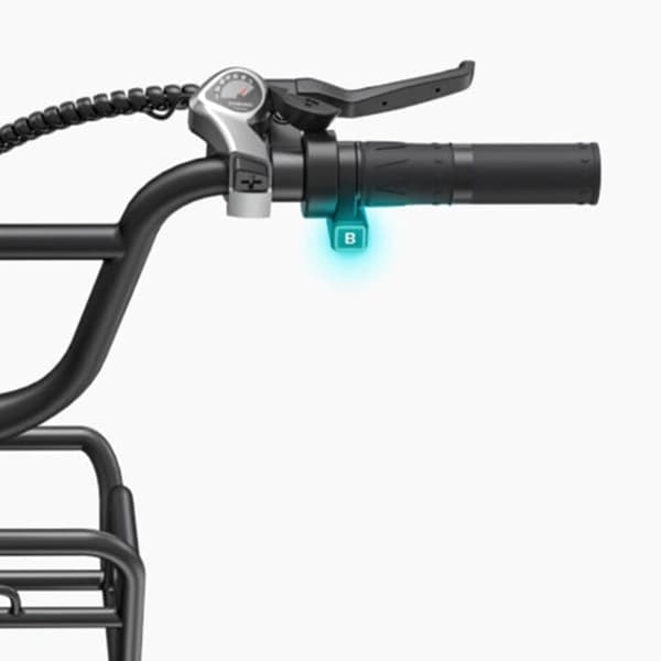 Elcykel ENGWE L20 BOOST, Steg-Thru, Motor 48V 250W, Power-Boost Momentsensor