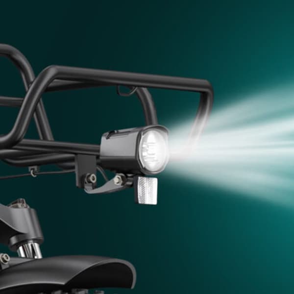 Elcykel ENGWE L20 BOOST, Steg-Thru, Motor 48V 250W, Power-Boost Momentsensor