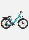 Miniatyrbild 11 av 11: ENGWE E26 ST 250W motor 16AH batteri, 25km / h hastighet 140km räckvidd, 26 * 4.0 tum bucket däck vuxen elektrisk cykel-blå grön