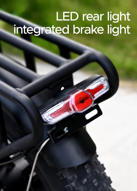 ENGWE Engine X 250 Watt Motor, 13AH Batteri, 25km/h Hastighet, 120km Räckvidd, 20*4.0 Inch Fat Däck Vuxen Hopfällbar Elektrisk Cykel