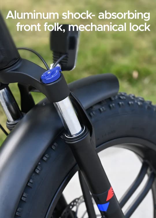 ENGWE Engine X 250 Watt Motor, 13AH Batteri, 25km/h Hastighet, 120km Räckvidd, 20*4.0 Inch Fat Däck Vuxen Hopfällbar Elektrisk Cykel