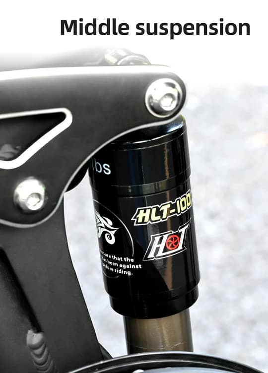 ENGWE Engine X 250 Watt Motor, 13AH Batteri, 25km/h Hastighet, 120km Räckvidd, 20*4.0 Inch Fat Däck Vuxen Hopfällbar Elektrisk Cykel