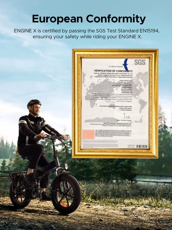 ENGWE Engine X 250 Watt Motor, 13AH Batteri, 25km/h Hastighet, 120km Räckvidd, 20*4.0 Inch Fat Däck Vuxen Hopfällbar Elektrisk Cykel