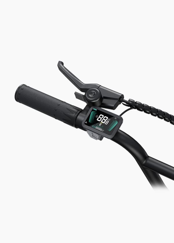 ENGWE L20 Boost 250W motor, 20AH batteri, 25km/h hastighet, 126km räckvidd, 20*4.0 tum fett däck vuxen elektrisk cykel