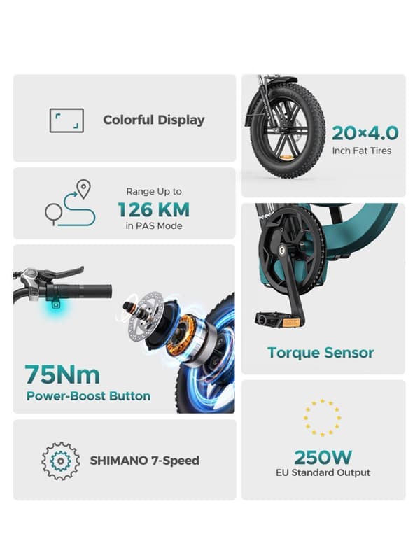 ENGWE L20 Boost 20AH batteri, 25km/h hastighet, 250W motor, 126km räckvidd, 20*4.0 tum fett däck vuxen elektrisk cykel