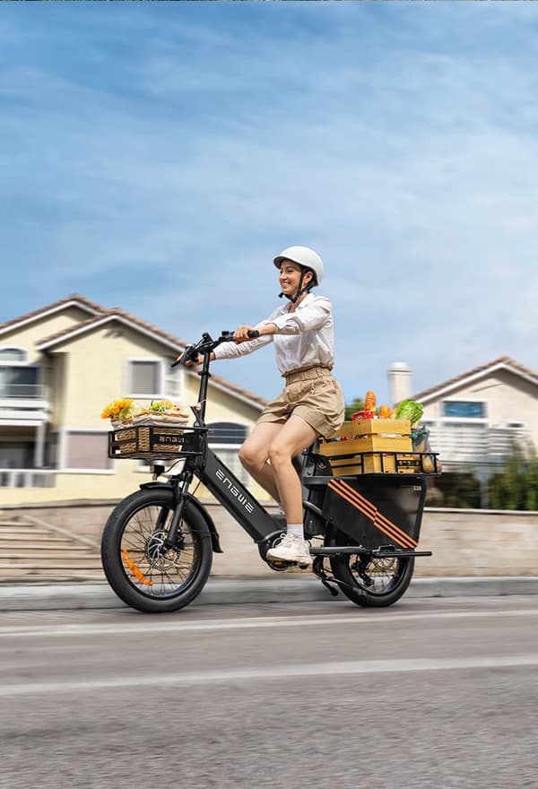 ENGWE LE20 19.2AH batteri, 25km/h hastighet,250W motor,  180km räckvidd, 20*3.0 tum däck elcykel för vuxna