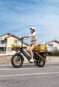 Miniatyrbild 2 av 11: ENGWE LE20 19.2AH batteri, 25km/h hastighet,250W motor,  180km räckvidd, 20*3.0 tum däck elcykel för vuxna