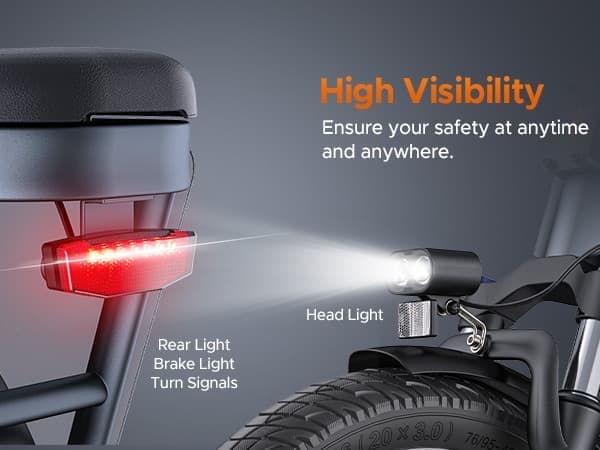 ENGWE LE20 2*19.2AH batteri, 250W motor, 25km/h hastighet, 350km räckvidd, 20*3.0 tum däck elcykel för vuxna